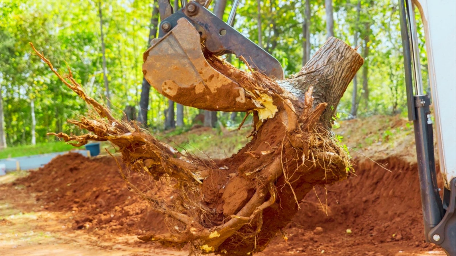 Machinery clearing trees and vegetation from construction land.